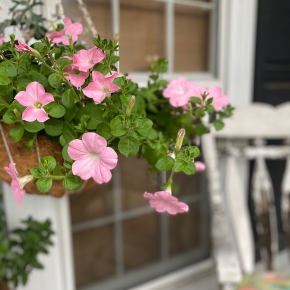 SHOE/BOOT-BOGO 1/2 OFF SALE•see below - Picture 5 of 16